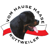 Haase Rottweiler